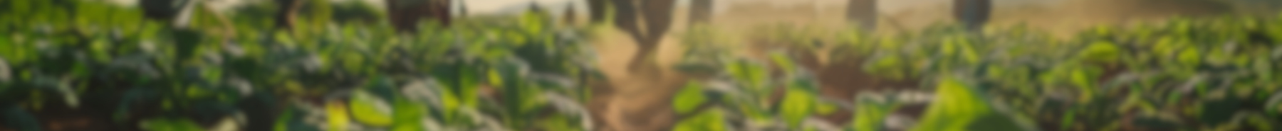 Inner Banner of Consumer Affairs