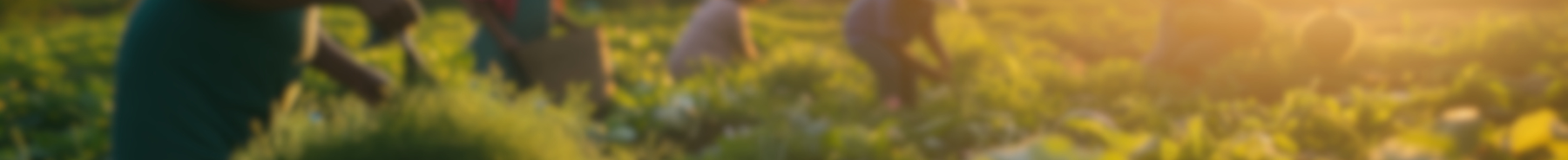 Inner Banner of Consumer Affairs